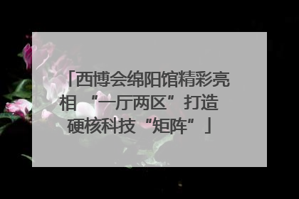 西博会绵阳馆精彩亮相 “一厅两区”打造硬核科技“矩阵”