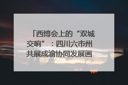 西博会上的“双城交响”：四川六市州共展成渝协同发展画卷｜西博视界