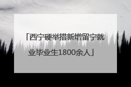 西宁硬举措新增留宁就业毕业生1800余人