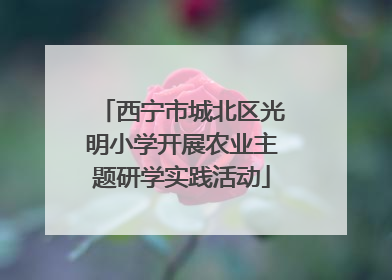 西宁市城北区光明小学开展农业主题研学实践活动