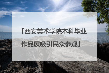 西安美术学院本科毕业作品展吸引民众参观
