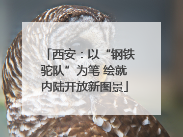 西安：以“钢铁驼队”为笔 绘就内陆开放新图景