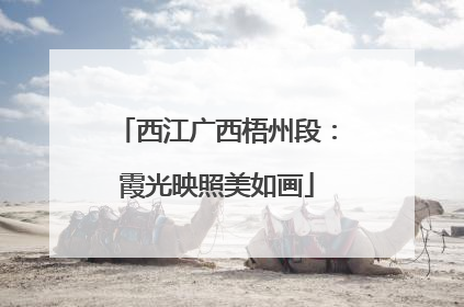 西江广西梧州段：霞光映照美如画