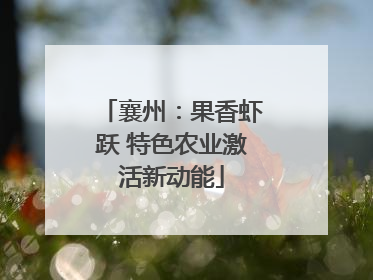 襄州：果香虾跃 特色农业激活新动能