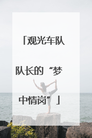 观光车队队长的“梦中情岗”