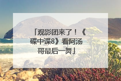 观影团来了！《碟中谍8》看阿汤哥最后一舞