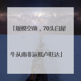 规模空前，70头白犀牛从南非运抵卢旺达