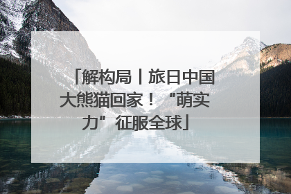 解构局丨旅日中国大熊猫回家！“萌实力”征服全球
