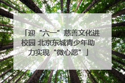 迎“六一”慈善文化进校园 北京东城青少年助力实现“微心愿”