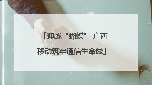 迎战“蝴蝶” 广西移动筑牢通信生命线