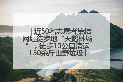 近50名志愿者集结网红徒步地“天鹅林场”，徒步10公里清运150余斤山野垃圾