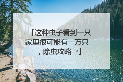 这种虫子看到一只家里很可能有一万只，除虫攻略→