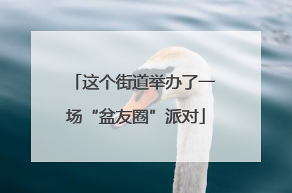 这个街道举办了一场“盆友圈”派对