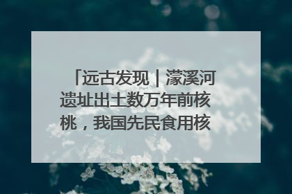 远古发现｜濛溪河遗址出土数万年前核桃，我国先民食用核桃历史大幅提前