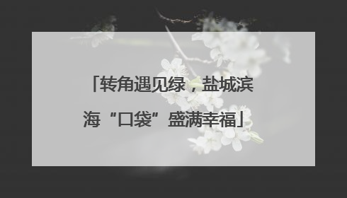 转角遇见绿，盐城滨海“口袋”盛满幸福