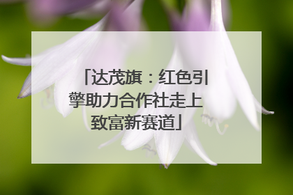 达茂旗：红色引擎助力合作社走上致富新赛道