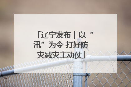 辽宁发布｜以“汛”为令 打好防灾减灾主动仗