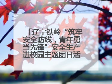 辽宁铁岭“筑牢安全防线，青年勇当先锋”安全生产进校园主题团日活动举行