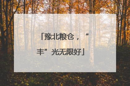 豫北粮仓，“丰”光无限好