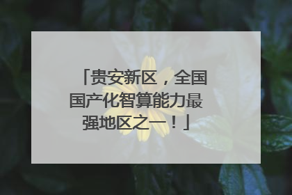 贵安新区，全国国产化智算能力最强地区之一！