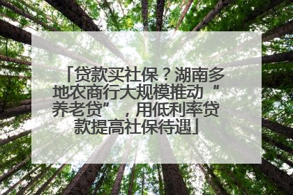 贷款买社保？湖南多地农商行大规模推动“养老贷”，用低利率贷款提高社保待遇