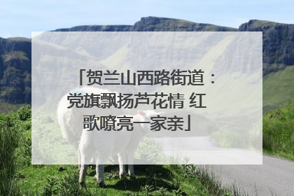 贺兰山西路街道：党旗飘扬芦花情 红歌嘹亮一家亲