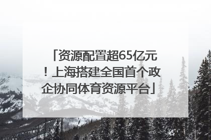 资源配置超65亿元！上海搭建全国首个政企协同体育资源平台