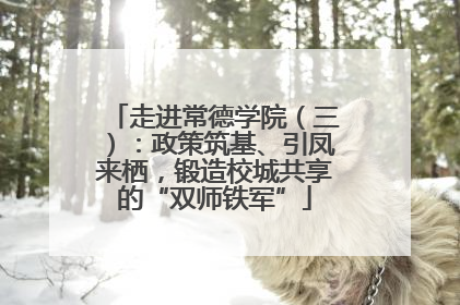 走进常德学院（三）：政策筑基、引凤来栖，锻造校城共享的“双师铁军”