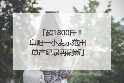 超1800斤！阜阳一小麦示范田单产纪录再刷新