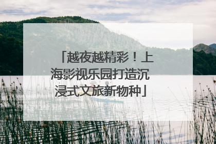 越夜越精彩！上海影视乐园打造沉浸式文旅新物种