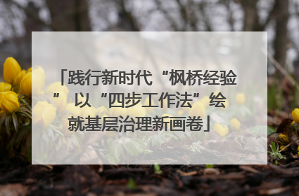 践行新时代“枫桥经验” 以“四步工作法”绘就基层治理新画卷