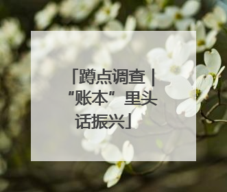 蹲点调查｜“账本”里头话振兴