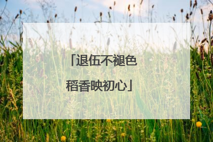 退伍不褪色 稻香映初心