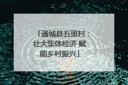 通城县五里村：壮大集体经济 赋能乡村振兴