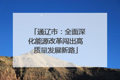 通辽市：全面深化能源改革闯出高质量发展新路