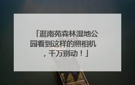逛南苑森林湿地公园看到这样的照相机，千万别动！