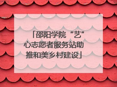 邵阳学院“艺”心志愿者服务站助推和美乡村建设