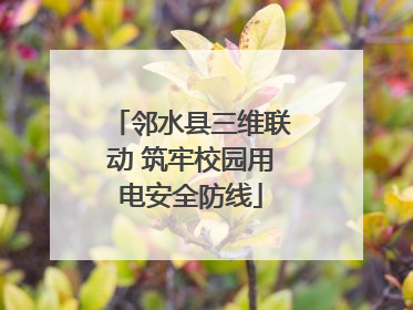 邻水县三维联动 筑牢校园用电安全防线