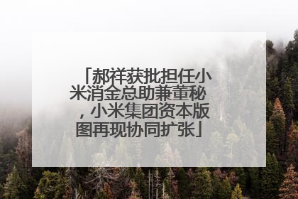 郝祥获批担任小米消金总助兼董秘，小米集团资本版图再现协同扩张