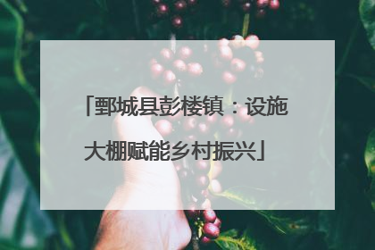 鄄城县彭楼镇：设施大棚赋能乡村振兴