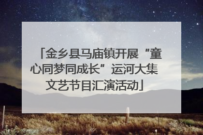 金乡县马庙镇开展“童心同梦同成长”运河大集文艺节目汇演活动