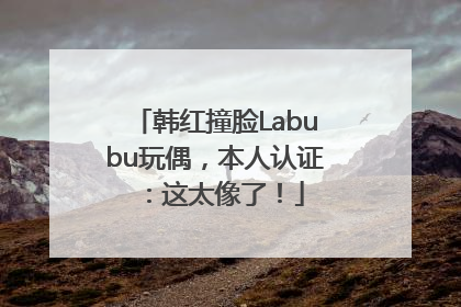 韩红撞脸Labubu玩偶，本人认证：这太像了！