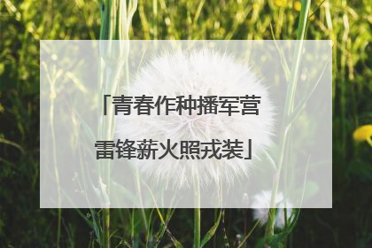 青春作种播军营 雷锋薪火照戎装