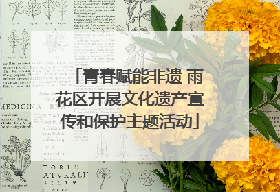 青春赋能非遗 雨花区开展文化遗产宣传和保护主题活动