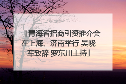 青海省招商引资推介会在上海、济南举行 吴晓军致辞 罗东川主持