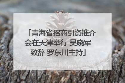 青海省招商引资推介会在天津举行 吴晓军致辞 罗东川主持