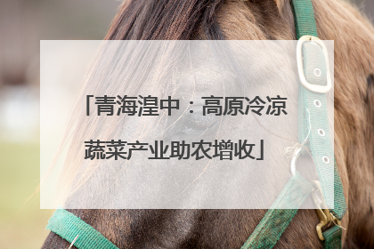 青海湟中：高原冷凉蔬菜产业助农增收