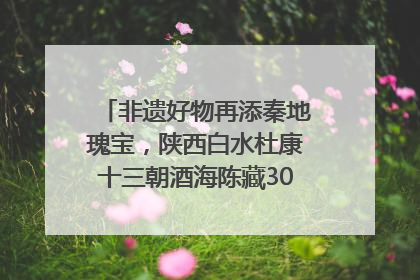 非遗好物再添秦地瑰宝，陕西白水杜康十三朝酒海陈藏30年别具一格