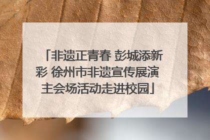 非遗正青春 彭城添新彩 徐州市非遗宣传展演主会场活动走进校园