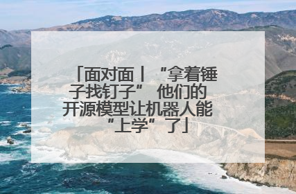 面对面丨“拿着锤子找钉子” 他们的开源模型让机器人能“上学”了